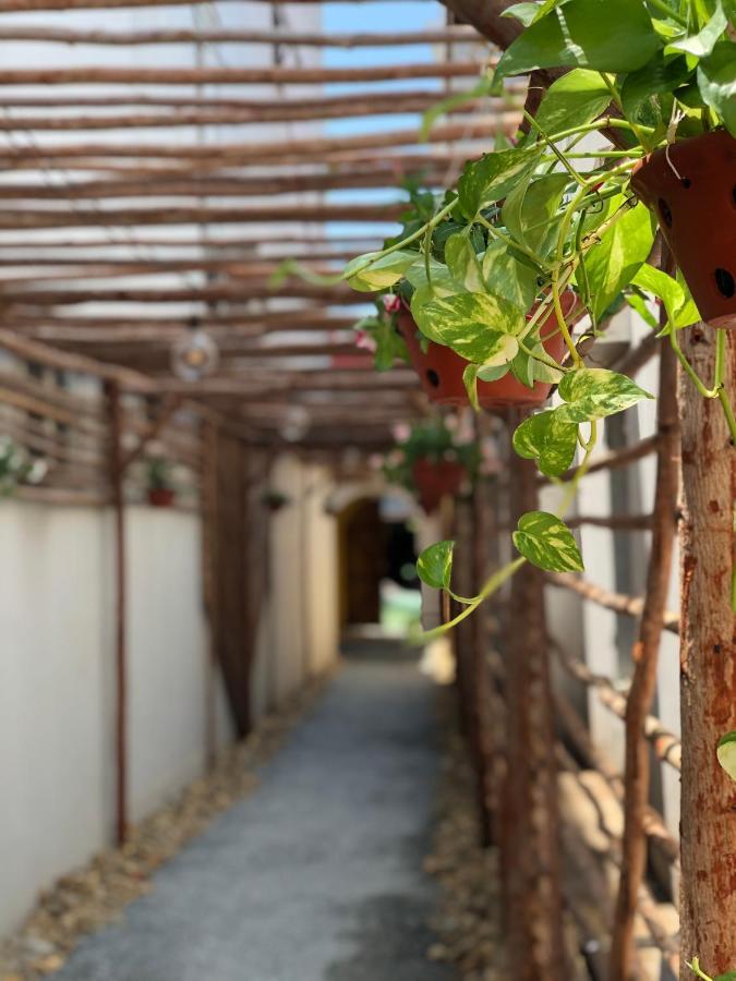 Leranda Homestay Хуе Екстериор снимка