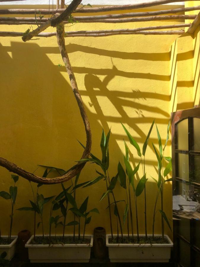 Leranda Homestay Хуе Екстериор снимка