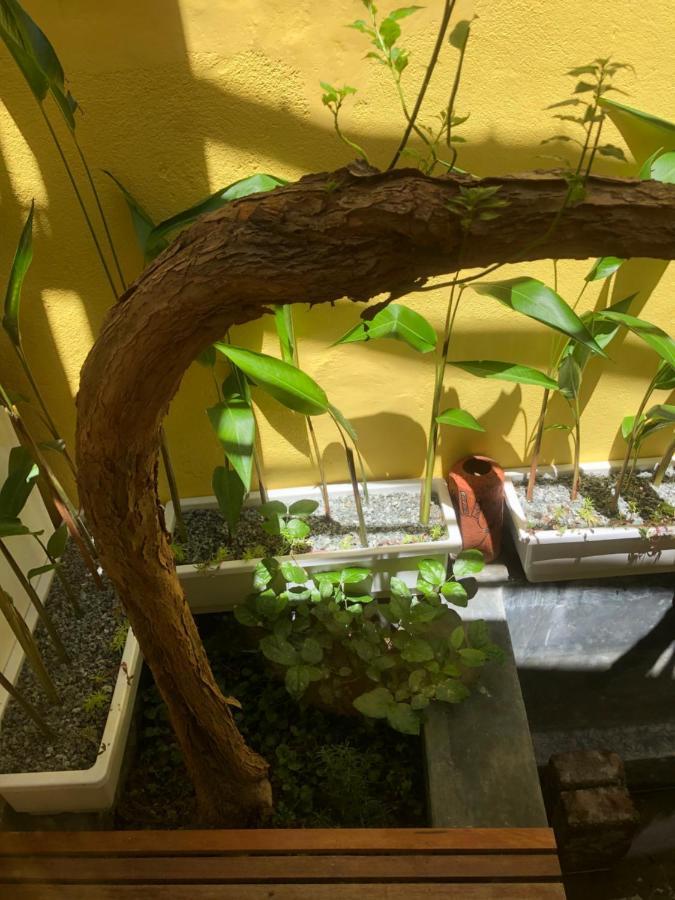 Leranda Homestay Хуе Екстериор снимка
